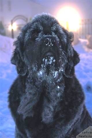 Фотография № 89254