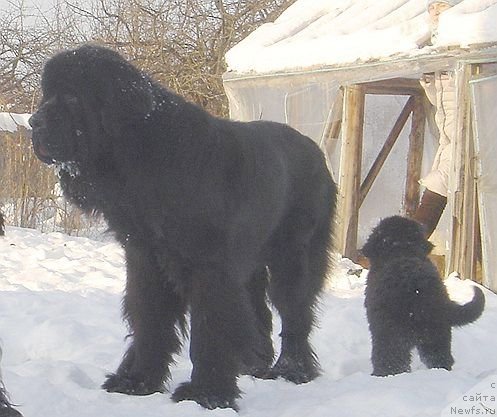 Фото: [d114] 7 лет