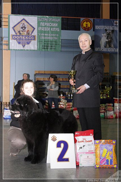 Фотография № 89350