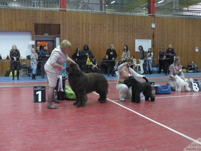 Фотография № 89351