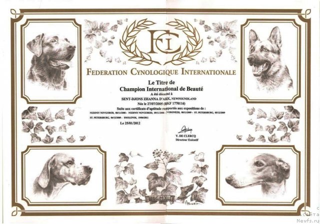 Фотография № 89367