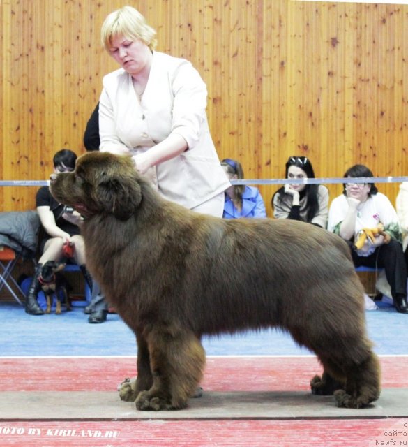 Фотография № 89392