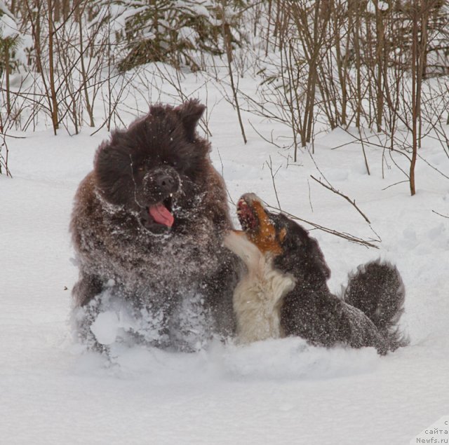 Фото: [d10434]и Эни