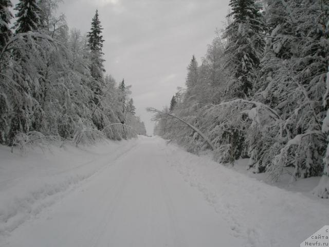 Фотография № 8954