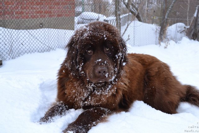 Фото: Наталия Пашкина