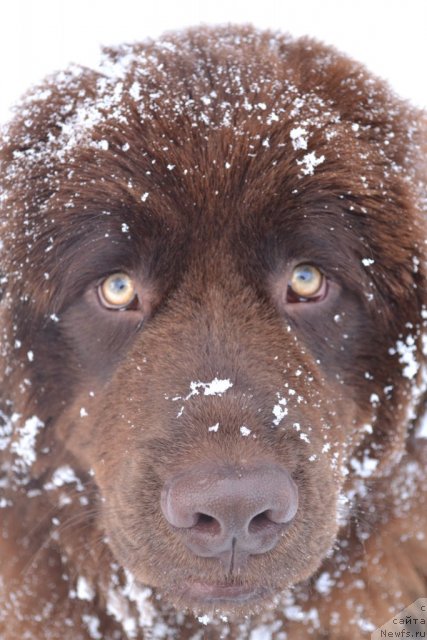 Фото: Наталия Пашкина