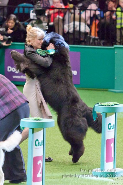 Фотография № 89584