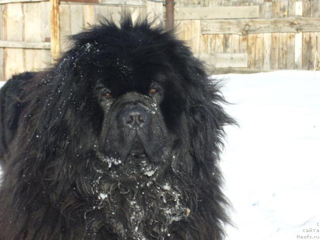 Фотография № 8960