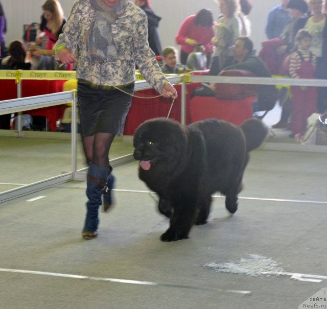 Фотография № 89603