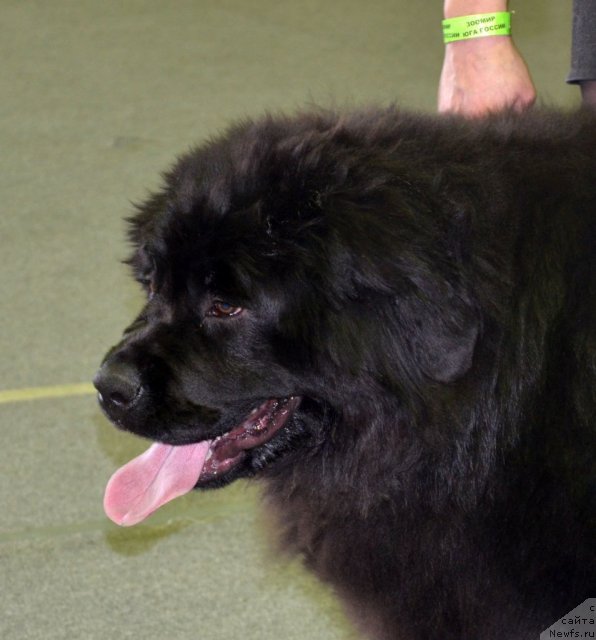 Фотография № 89604