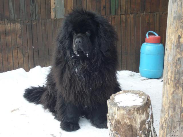 Фотография № 8961