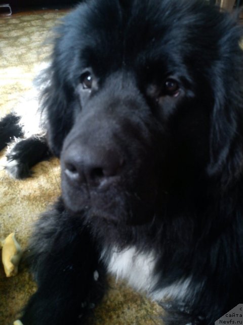 Фотография № 89613