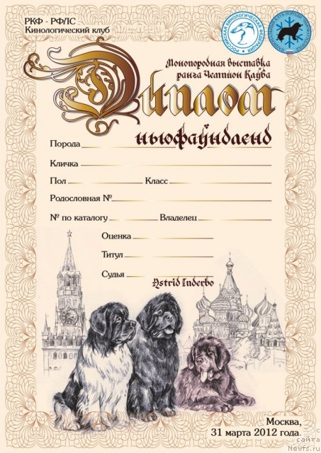 Фотография № 89627