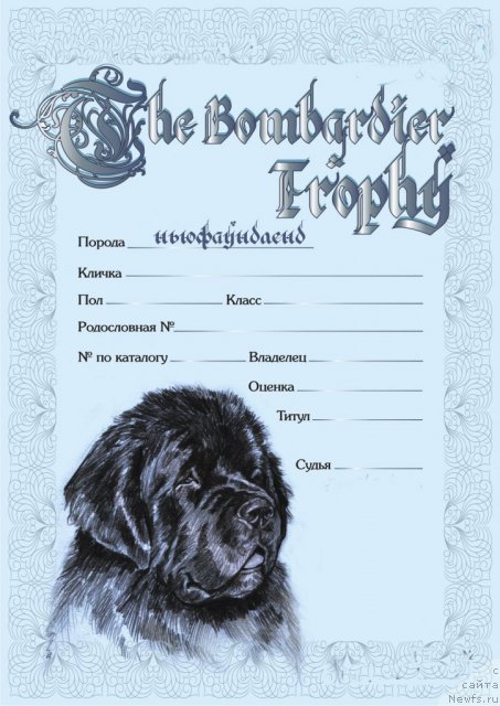 Фотография № 89629