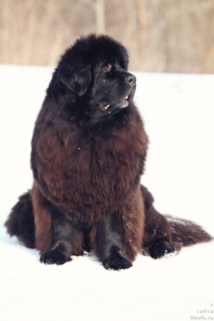 Фотография № 89635