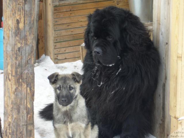 Фотография № 8965