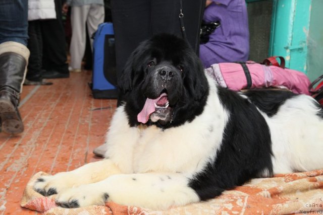 Фотография № 89659