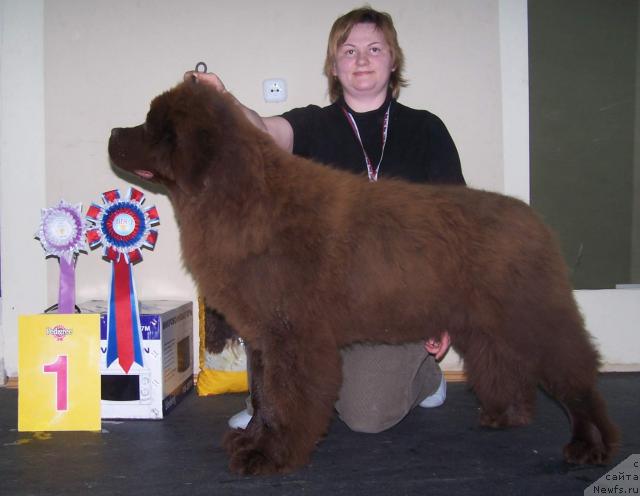 Фотография № 8966