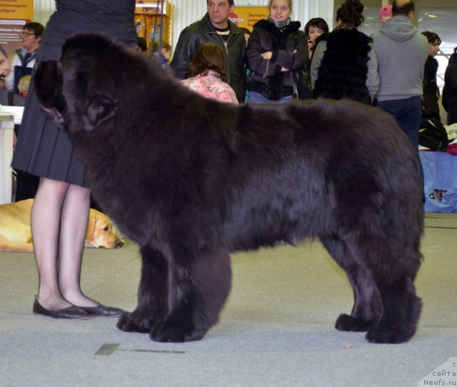 Фотография № 89684