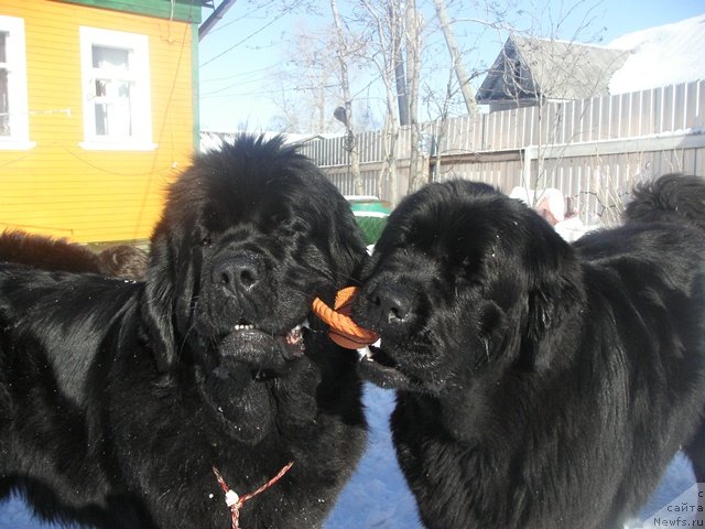 Фотография № 89696