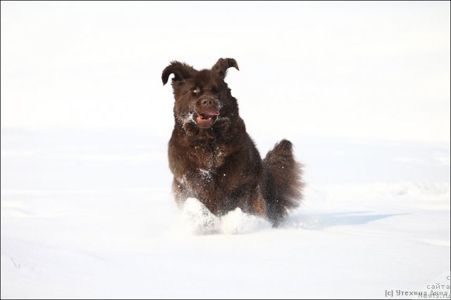 Фотография № 89731