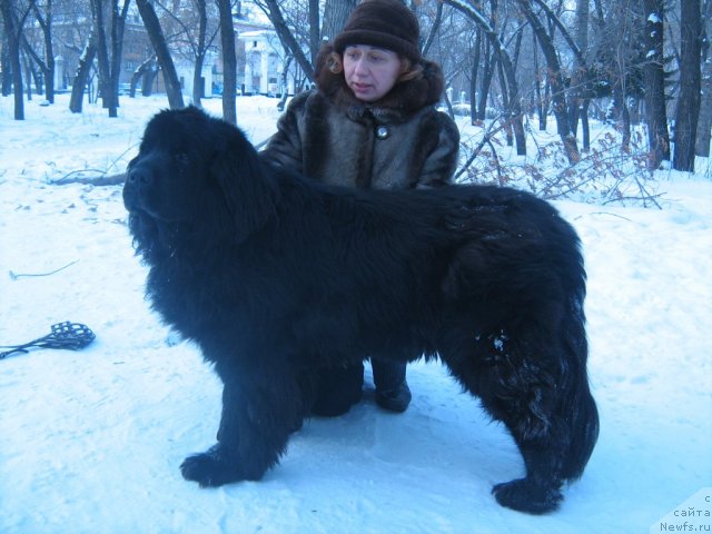 Фотография № 89750