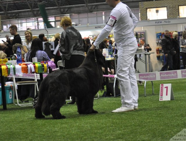 Фотография № 89756