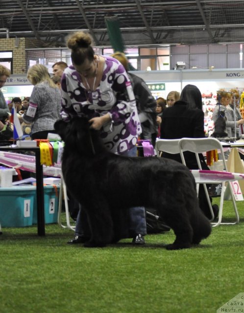 Фотография № 89758