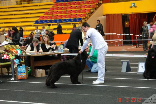 Фотография № 89759