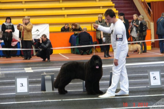 Фотография № 89760