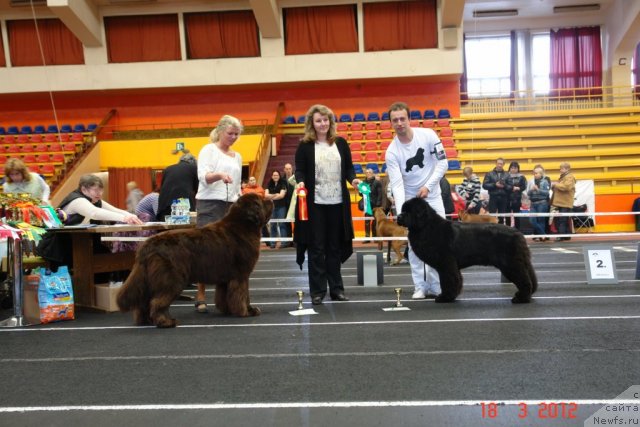 Фотография № 89762