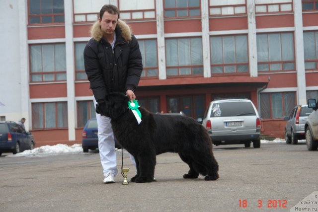 Фотография № 89763