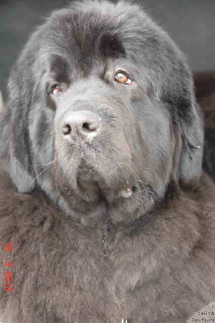 Фотография № 89768