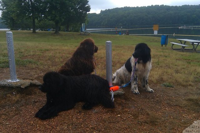Фото: Оксана Музычук