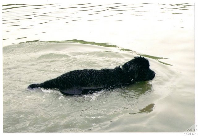 Фотография № 89791