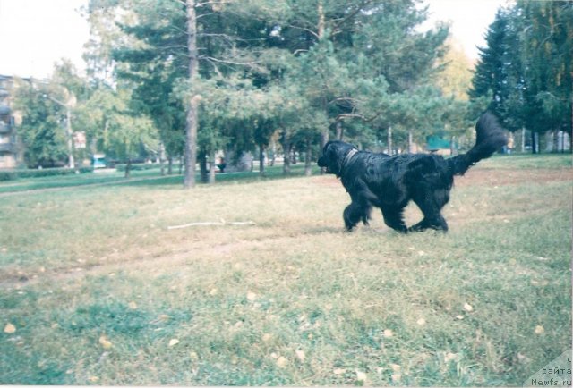 Фотография № 89794