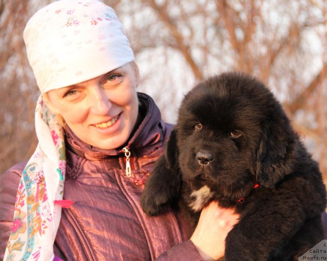 Фотография № 89802