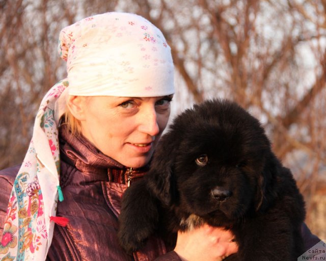 Фотография № 89803