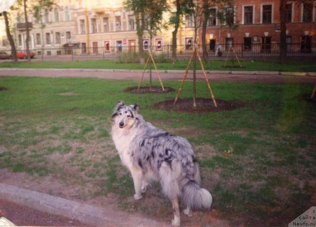 Фотография № 8981