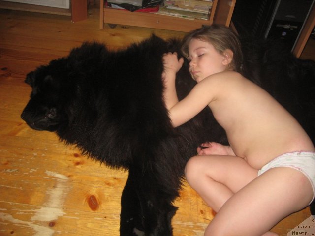 Фотография № 89820