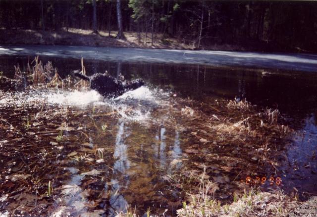 Фотография № 8983