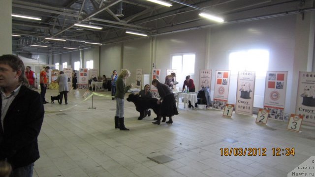 Фотография № 89839