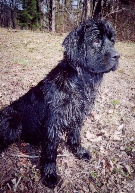 Фотография № 8984