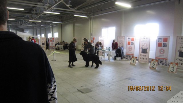 Фотография № 89840