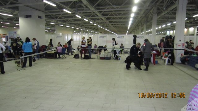 Фотография № 89842