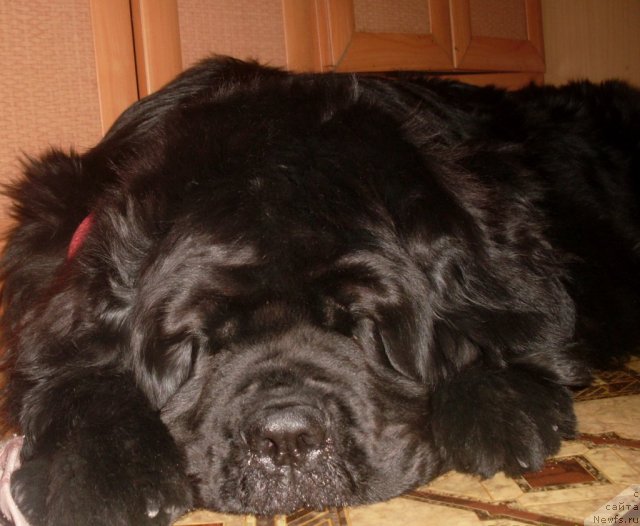 Фотография № 89878