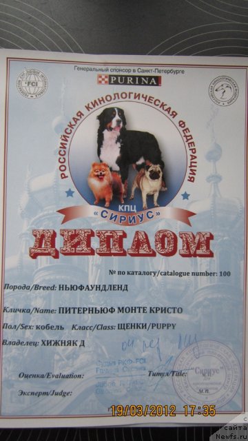 Фотография № 89895