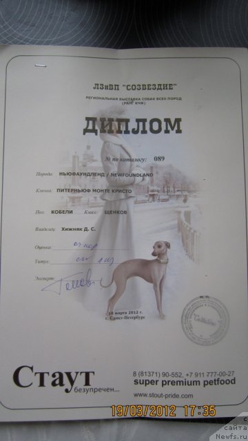 Фотография № 89900