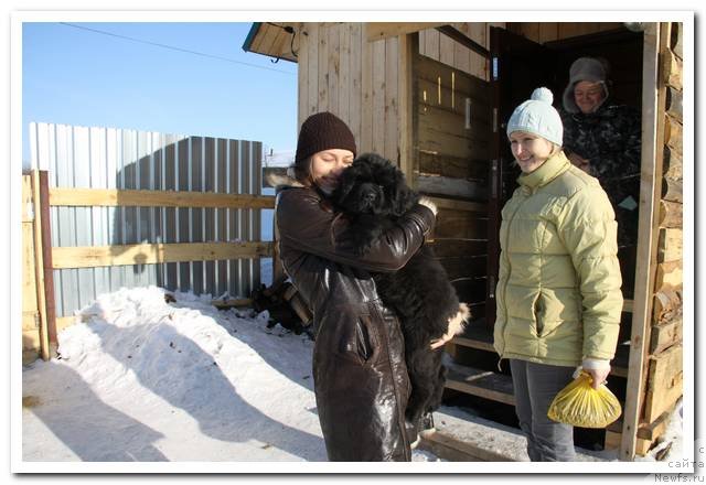 Фотография № 90019