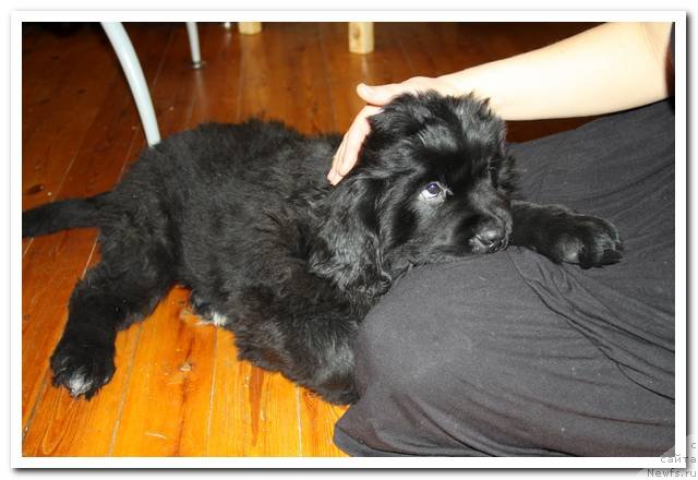 Фотография № 90020